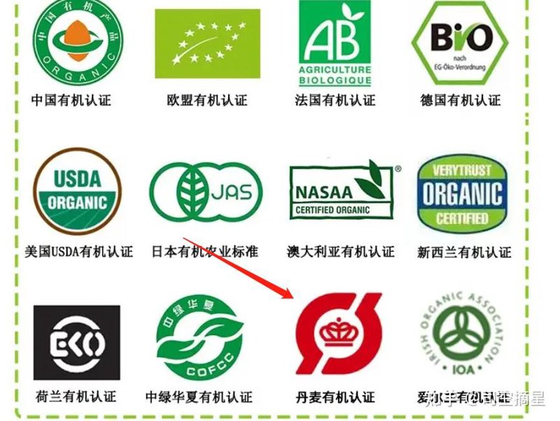 考拉宝宝的成长秘密